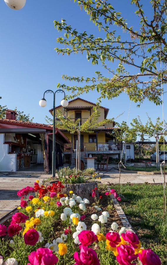 Sunset Villa Σωζόπολη Εξωτερικό φωτογραφία